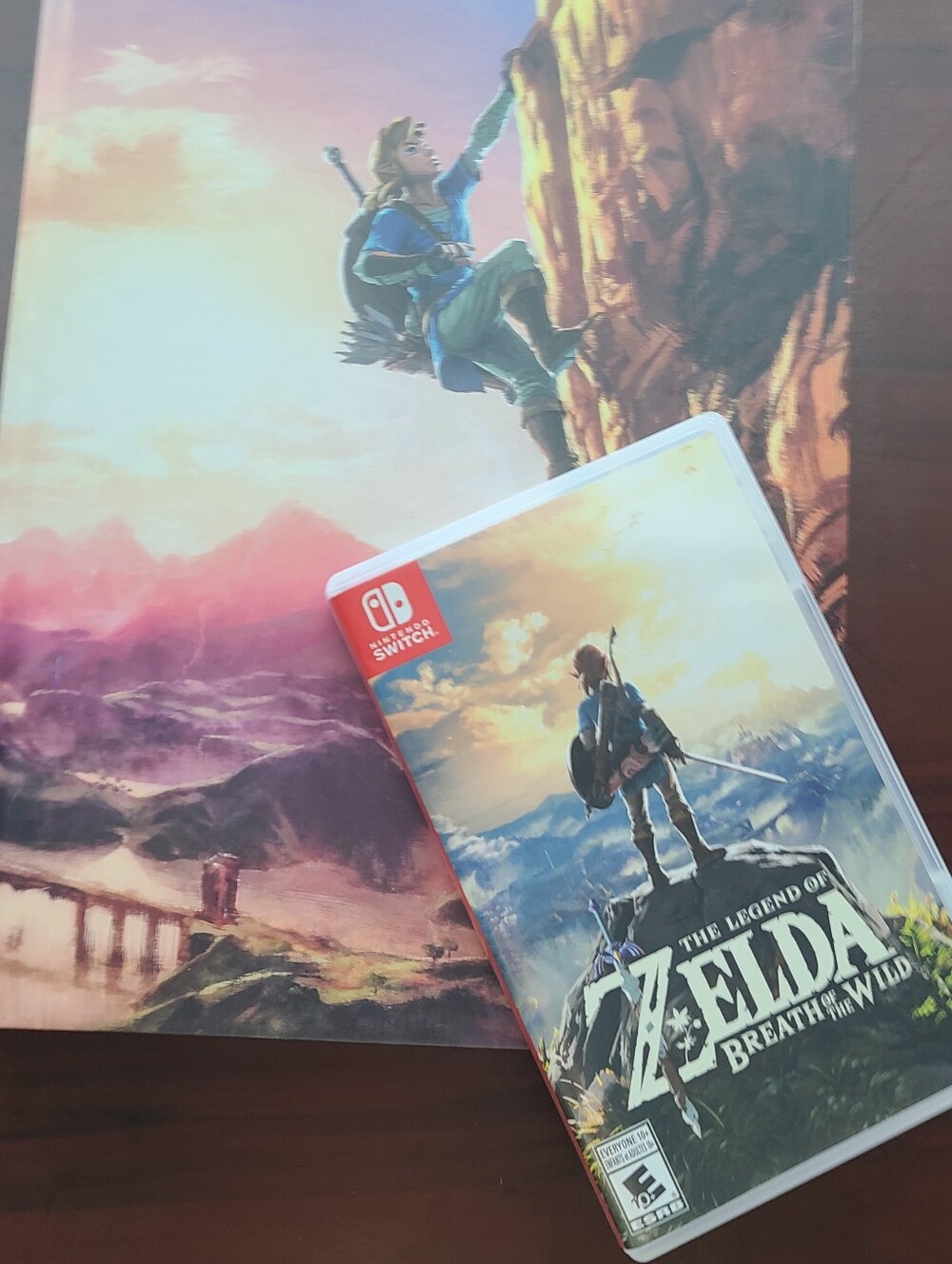 Zelda Breath Of The Wild-Switch Game + Guide